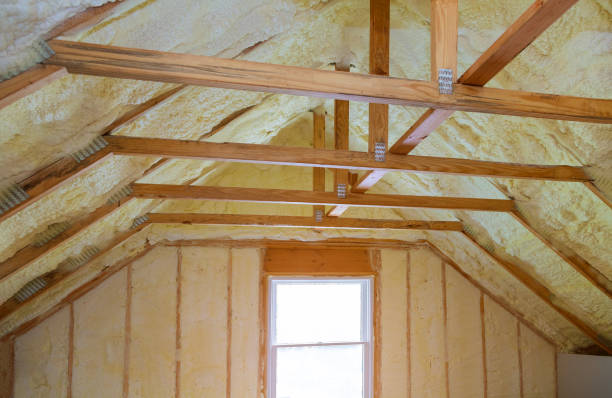 Best Cellulose Insulation in Garyville, LA