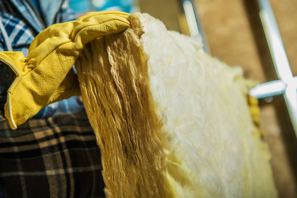 Types of Insulation We Offer in Garyville, LA