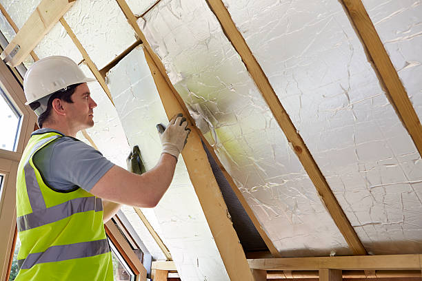 Best Geographic-Specific Insulation Services in Garyville, LA
